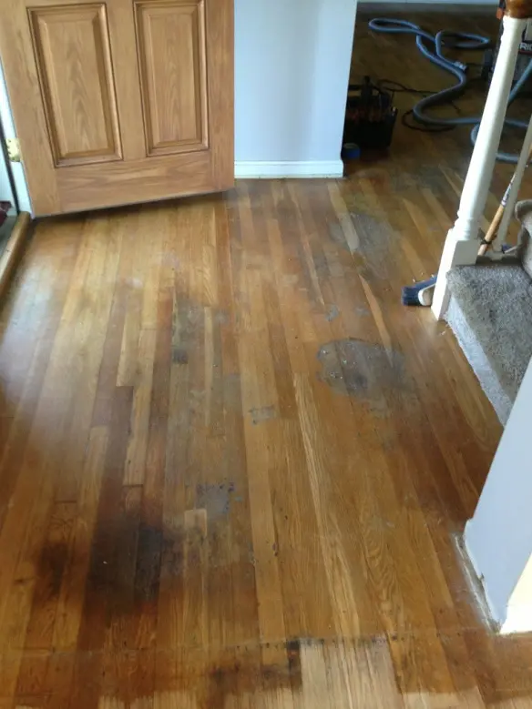 Oak floor refinishing - view 3